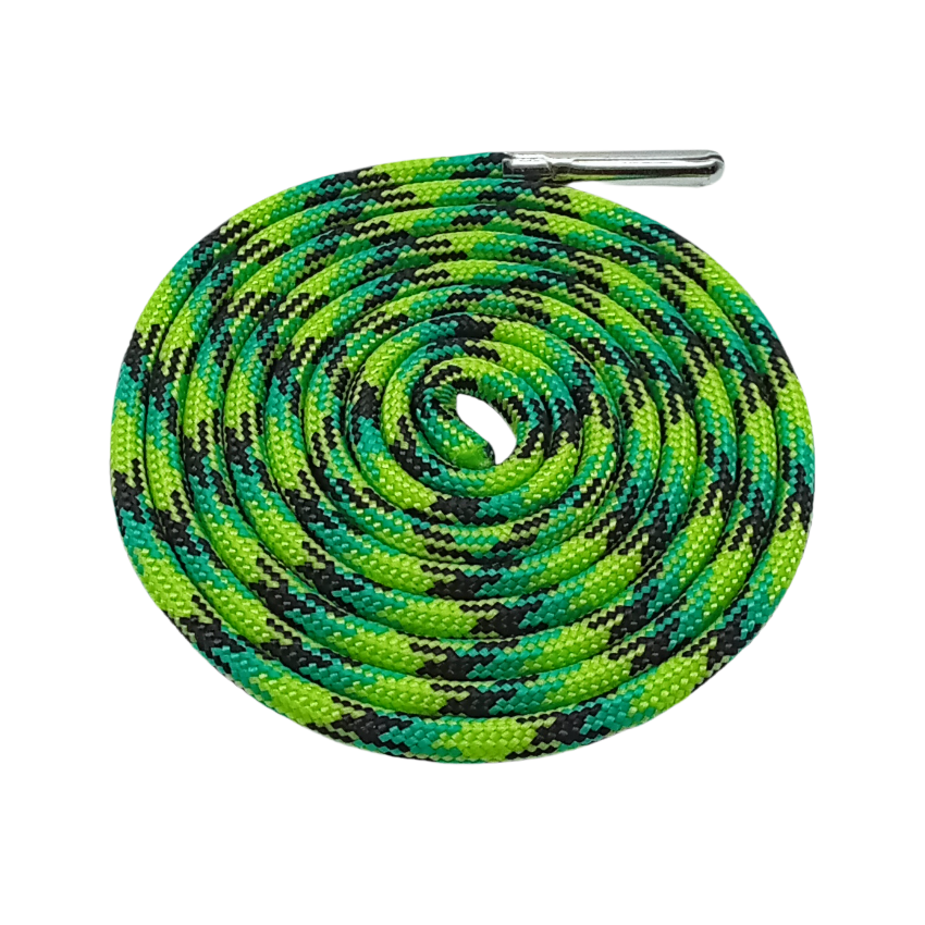 Reptile
