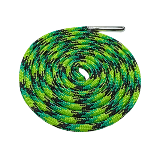 Reptile